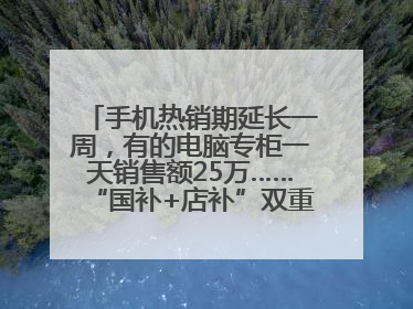 手机热销期延长一周，有的电脑专柜一天销售额25万……“国补+店补”双重优惠点燃德州“考后经济”