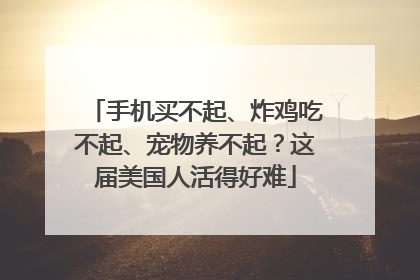 手机买不起、炸鸡吃不起、宠物养不起？这届美国人活得好难