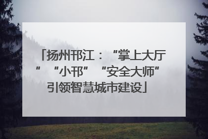 扬州邗江：“掌上大厅”“小邗”“安全大师”引领智慧城市建设