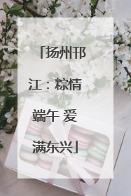 扬州邗江：粽情端午 爱满东兴