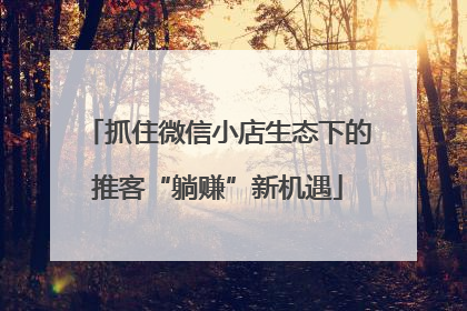 抓住微信小店生态下的推客“躺赚”新机遇