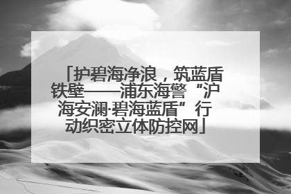 护碧海净浪，筑蓝盾铁壁——浦东海警“沪海安澜·碧海蓝盾”行动织密立体防控网