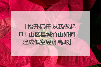 抬升标杆 从我做起⑭丨山区县城竹山如何建成低空经济高地
