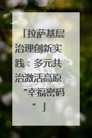 拉萨基层治理创新实践：多元共治激活高原“幸福密码”