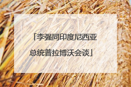 李强同印度尼西亚总统普拉博沃会谈