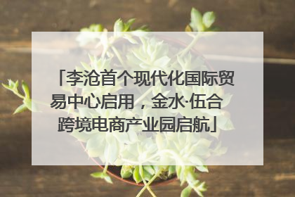李沧首个现代化国际贸易中心启用，金水·伍合跨境电商产业园启航