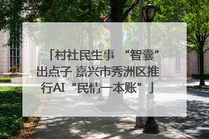 村社民生事 “智囊”出点子 嘉兴市秀洲区推行AI“民情一本账”