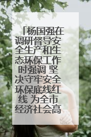 杨国强在调研督导安全生产和生态环保工作时强调 坚决守牢安全环保底线红线 为全市经济社会高质量发展提供坚强保障