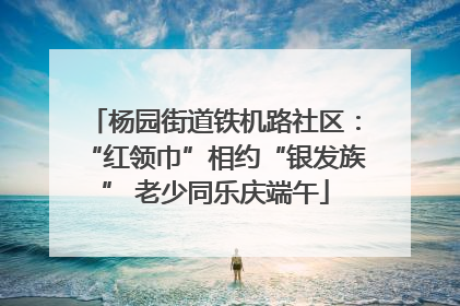 杨园街道铁机路社区：“红领巾”相约“银发族” 老少同乐庆端午