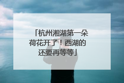 杭州湘湖第一朵荷花开了！西湖的还要再等等