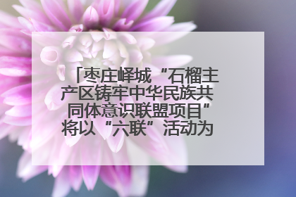 枣庄峄城“石榴主产区铸牢中华民族共同体意识联盟项目”将以“六联”活动为抓手深化品牌建设
