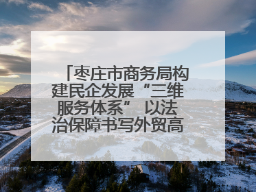 枣庄市商务局构建民企发展“三维服务体系” 以法治保障书写外贸高质量答卷