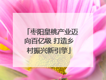 枣阳皇桃产业迈向百亿级 打造乡村振兴新引擎