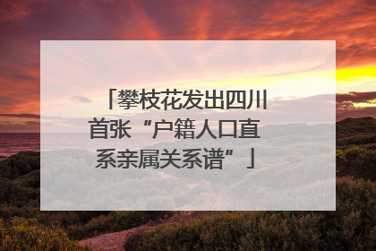 攀枝花发出四川首张“户籍人口直系亲属关系谱”