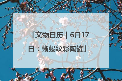 文物日历｜6月17日：蜥蜴纹彩陶罐