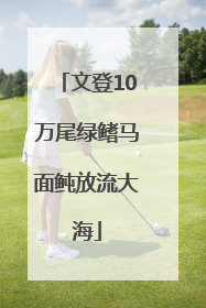 文登10万尾绿鳍马面鲀放流大海
