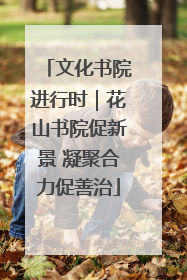 文化书院进行时｜花山书院促新景 凝聚合力促善治