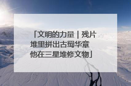 文明的力量｜残片堆里拼出古蜀华章 他在三星堆修文物