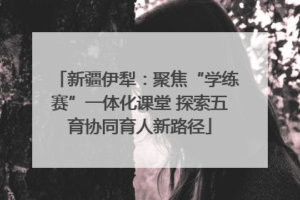 新疆伊犁：聚焦“学练赛”一体化课堂 探索五育协同育人新路径