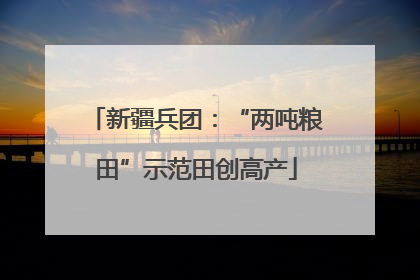 新疆兵团：“两吨粮田”示范田创高产