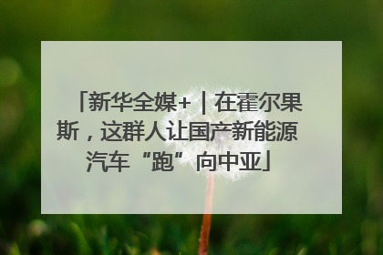 新华全媒+｜在霍尔果斯，这群人让国产新能源汽车“跑”向中亚