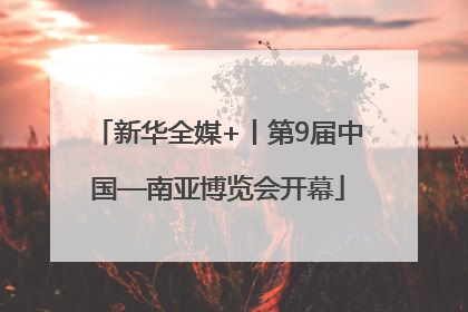 新华全媒+丨第9届中国—南亚博览会开幕