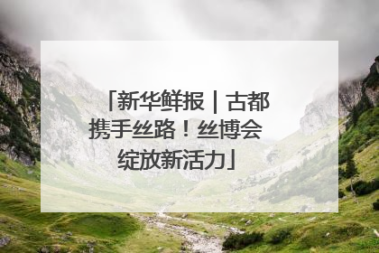 新华鲜报｜古都携手丝路！丝博会绽放新活力