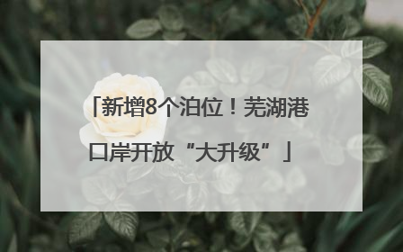 新增8个泊位！芜湖港口岸开放“大升级”