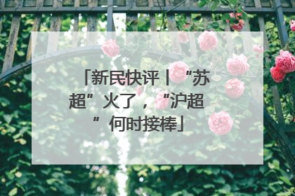 新民快评丨“苏超”火了，“沪超”何时接棒