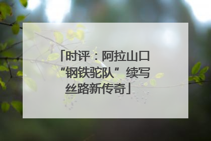 时评：阿拉山口“钢铁驼队”续写丝路新传奇