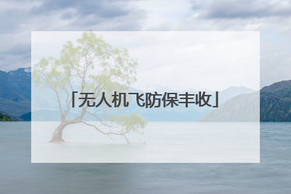 无人机飞防保丰收