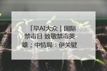 早AI大众｜国际禁毒日 致敬禁毒英雄；中情局：伊关键核设施被摧毁