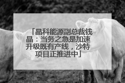晶科能源副总裁钱晶：当务之急是加速升级既有产线，沙特项目正推进中