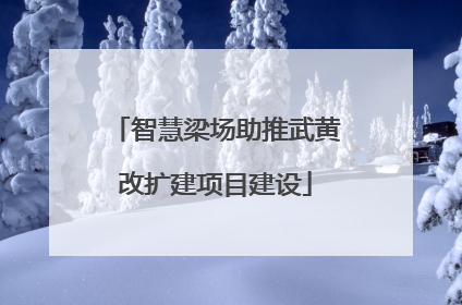 智慧梁场助推武黄改扩建项目建设