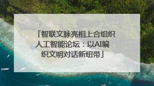 智联文脉亮相上合组织人工智能论坛：以AI编织文明对话新纽带