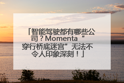 智能驾驶都有哪些公司？Momenta“穿行桥底迷宫”无法不令人印象深刻！
