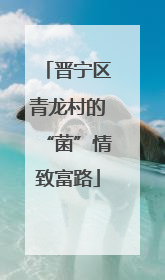 晋宁区青龙村的“菌”情致富路