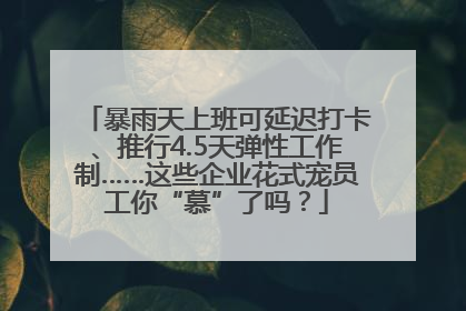 暴雨天上班可延迟打卡、推行4.5天弹性工作制……这些企业花式宠员工你“慕”了吗？
