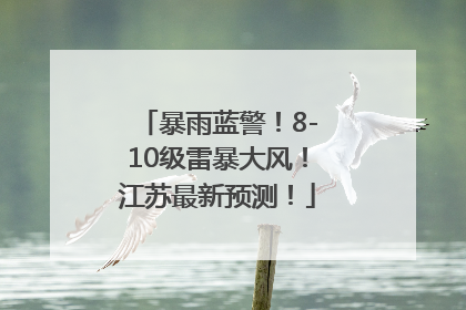 暴雨蓝警！8-10级雷暴大风！江苏最新预测！