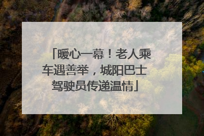 暖心一幕！老人乘车遇善举，城阳巴士驾驶员传递温情