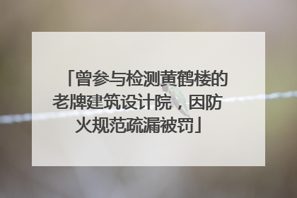 曾参与检测黄鹤楼的老牌建筑设计院，因防火规范疏漏被罚