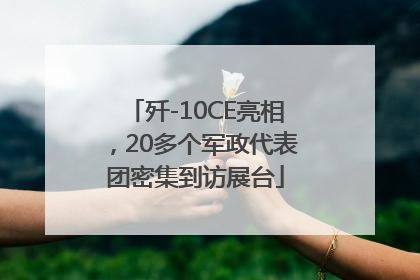 歼-10CE亮相，20多个军政代表团密集到访展台