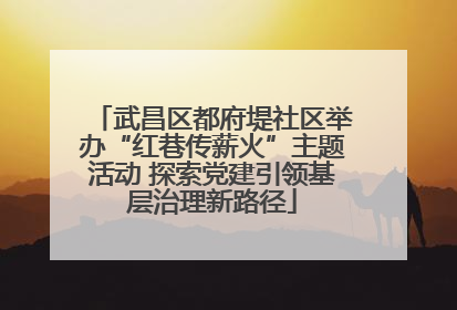 武昌区都府堤社区举办“红巷传薪火”主题活动 探索党建引领基层治理新路径