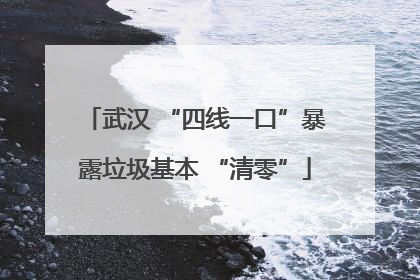 武汉 “四线一口”暴露垃圾基本 “清零”