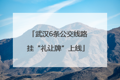 武汉6条公交线路挂“礼让牌”上线