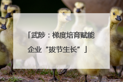 武陟：梯度培育赋能企业“拔节生长”