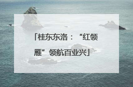 桂东东洛：“红领雁”领航百业兴