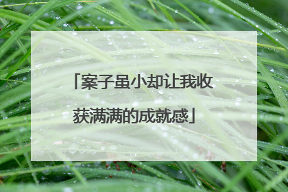 案子虽小却让我收获满满的成就感
