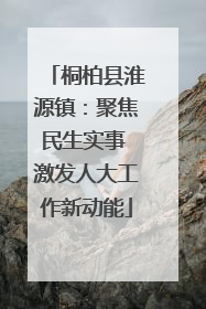桐柏县淮源镇：聚焦民生实事 激发人大工作新动能