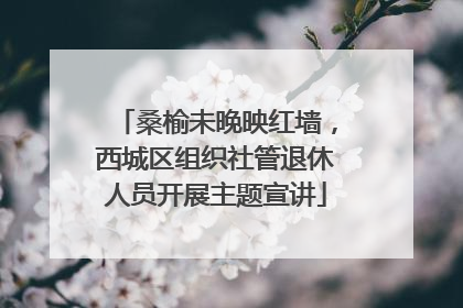 桑榆未晚映红墙，西城区组织社管退休人员开展主题宣讲